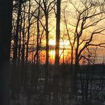 Tami Webber - Facebook