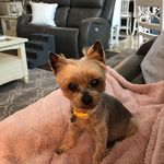 Tami Weller - @tamiwweller - Instagram