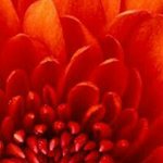 Tami Wetzel - @wetzeltami - Instagram