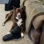 Tami Wirth - @tamijw - Instagram