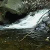TaMia Wright - @tamia.wright61 - TikTok