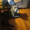 tamikahunt88 - @tamikahunt88 - TikTok
