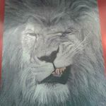 tamika morrison - @tamika.morrison - Instagram