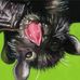 Tamika Sharp - Facebook