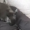 Tamiya king - @tamiya.b - TikTok