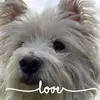tamiwelling - @tamiwelling - TikTok