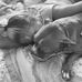 Tammy Harrell - Facebook
