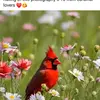Tammimacmillan - @tammimacmillan - TikTok