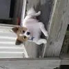 Tami Sharp - @tami.sharp1 - TikTok
