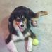 Tammy Sharp - Facebook