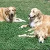 Tammy Cunningham - @tammy.cunningham61 - TikTok