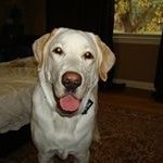 Tammie Read - @tamread64 - Instagram