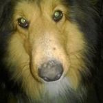 Tammy Adamson - @tammy.adamson.9 - Instagram