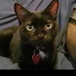 Tammy Adamson - @_tammy_adamson - Instagram