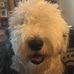 Tammy Addis Wilkins - Facebook