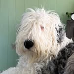 Tammy Addis Wilkins - @tammyslikes - Instagram