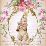 Tammy Akers - @tammyakers2022 - Instagram