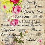 Tammy Akers - @akerstammypage - Instagram