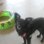 Tammy Akers - @dolphin_unique - Instagram