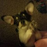 Tammy Akers Bradshaw - @akersbradshaw - Instagram