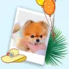 tammyakers - @tammyakers - TikTok