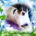 Tammy Alfonso - Facebook