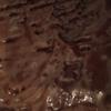 TAMMY Ali - @tammy.al6 - TikTok