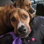 Tammy Allgood - @tammy_allgood - Instagram