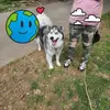 tammywallman - @tammywallman - TikTok