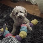 Tammy Allred - @doodledoggie_dayspa - Instagram