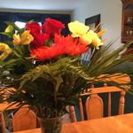 Tammy Allred - @allred_tammy - Instagram