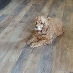 Tammy Altizer - @tammyaltizer398 - Instagram
