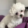 tammyamondula - @tammyamondula - TikTok