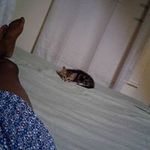 Tammy Amos - @denzel45678 - Instagram