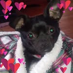 Tammy Andersen - @tam.lee.and - Instagram