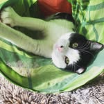 Tammy Andersen - @knitcidents - Instagram