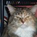 Tammy Andres - Facebook