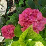 Tammy Shillum Andres - @nowhereman1945 - Instagram