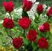 Tammy Angle - Facebook