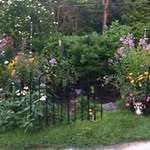 Tammy Anglemyer - @tammyanglemyer - Instagram