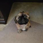 Tammy Archer - @zima4me59 - Instagram