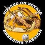 Tammy Archer - @hookedonroyalsuk - Instagram