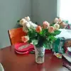 Tammy archer - @tammyarcher682 - TikTok