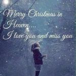 Archie Tammy Ingersoll - @archietammyingersoll - Instagram