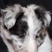 Tammy Armbruster - Facebook