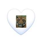 Tammy Armour - Facebook