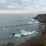 Tammy Armour Hart - @tammyarmourhart - Instagram