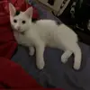 tammyarmour4 - @tammyarmour4 - TikTok