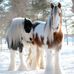 Tammy Ashlock - Facebook