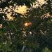 Tammy Atchison - Facebook